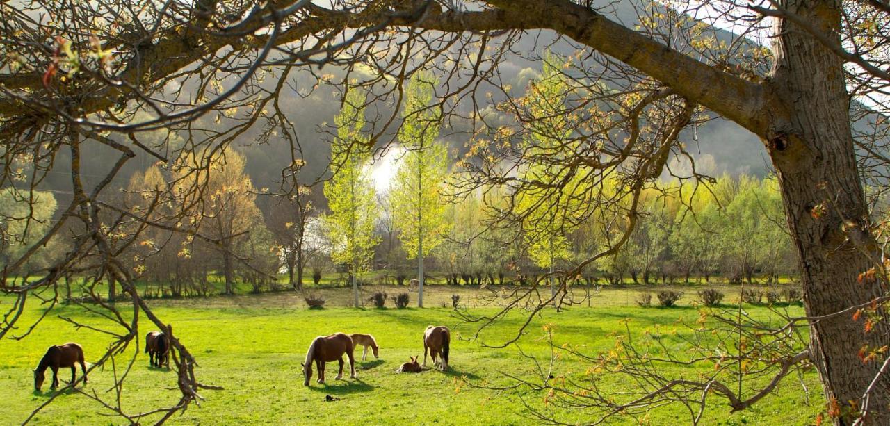 Casa Guineu Daire Esterri d'Àneu Dış mekan fotoğraf